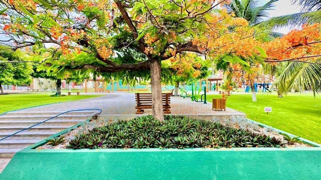 Ap Da Tia Fe No Paraiso Da De Morro Branco Fortaleza (Ceara)